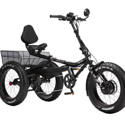 Tricycle électrique avec batterie au lithium, amortissement longue