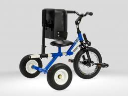 T15 tricycle